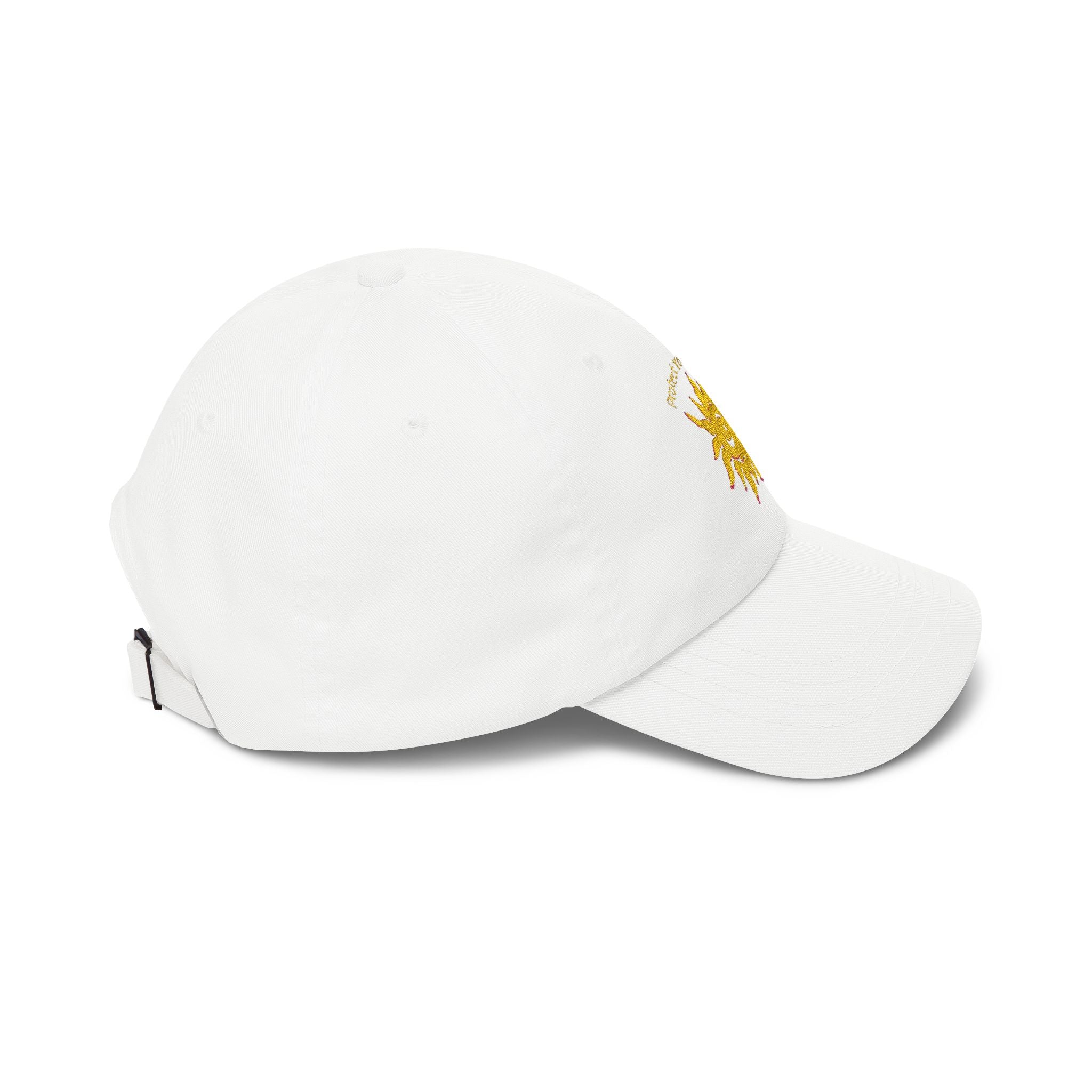 Protect Your Whimsy Embroidered Cap