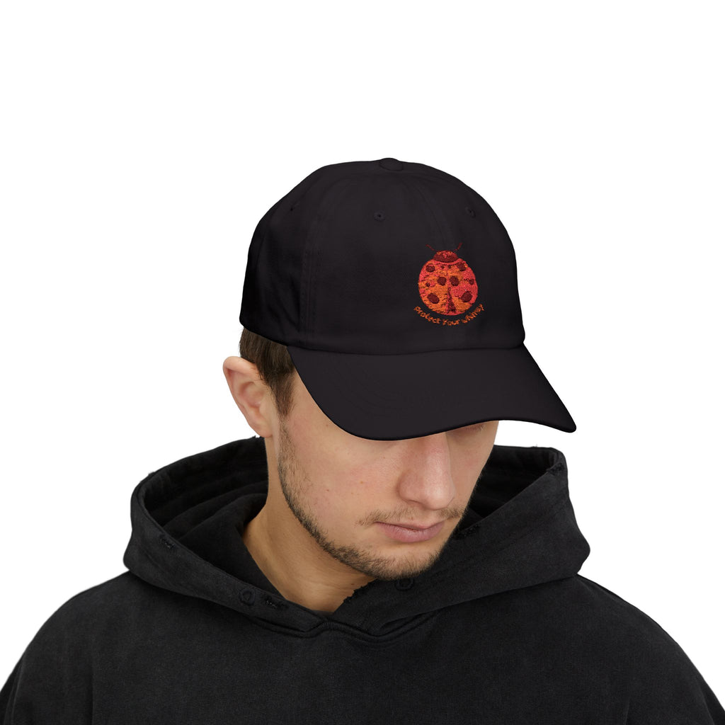 Protect Your Whimsy Embroidered Ladybug Cap