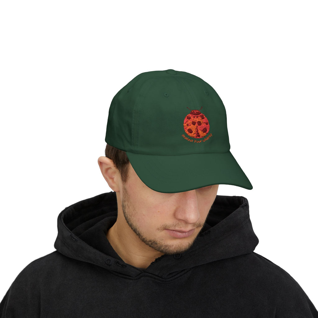 Protect Your Whimsy Embroidered Ladybug Cap