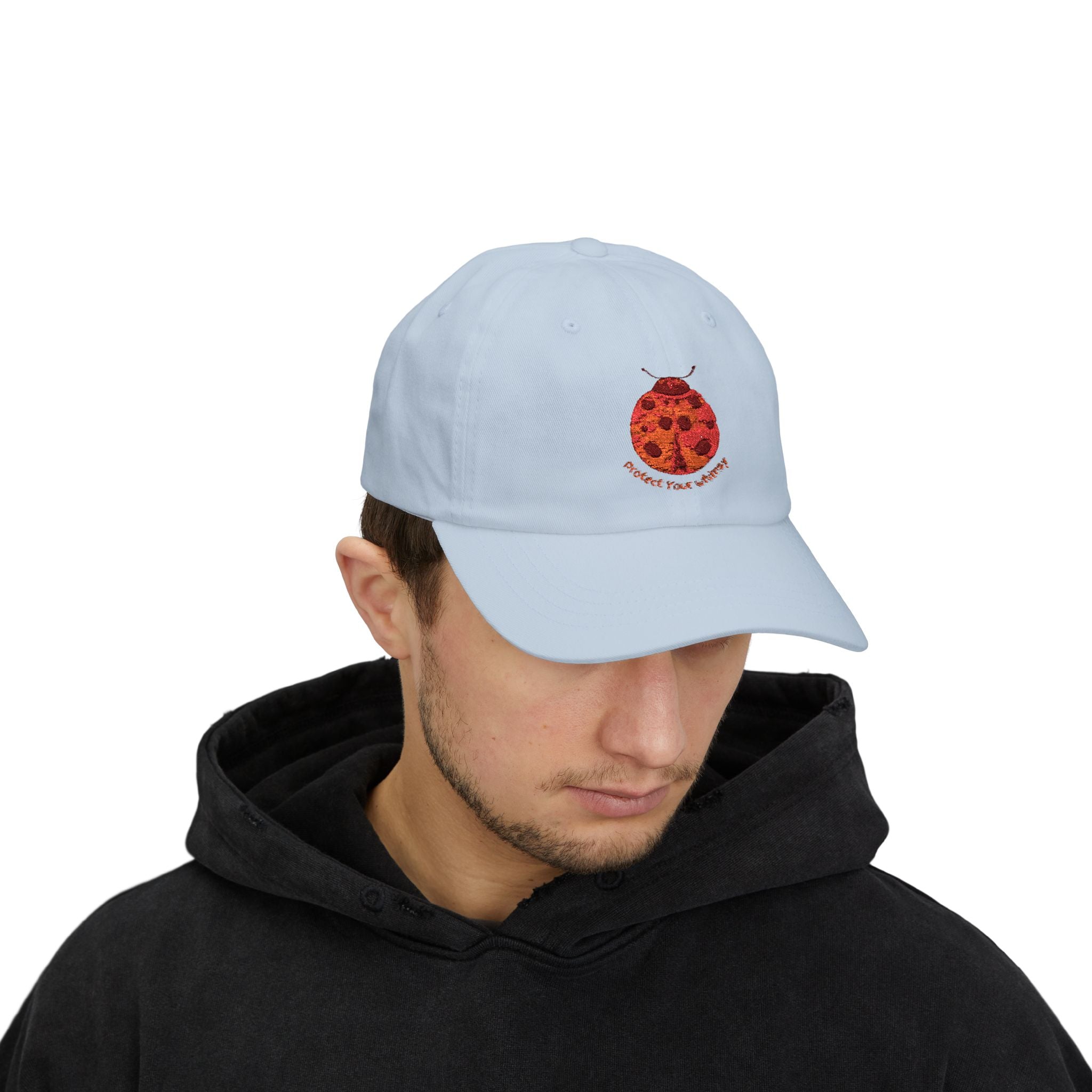 Protect Your Whimsy Embroidered Ladybug Cap