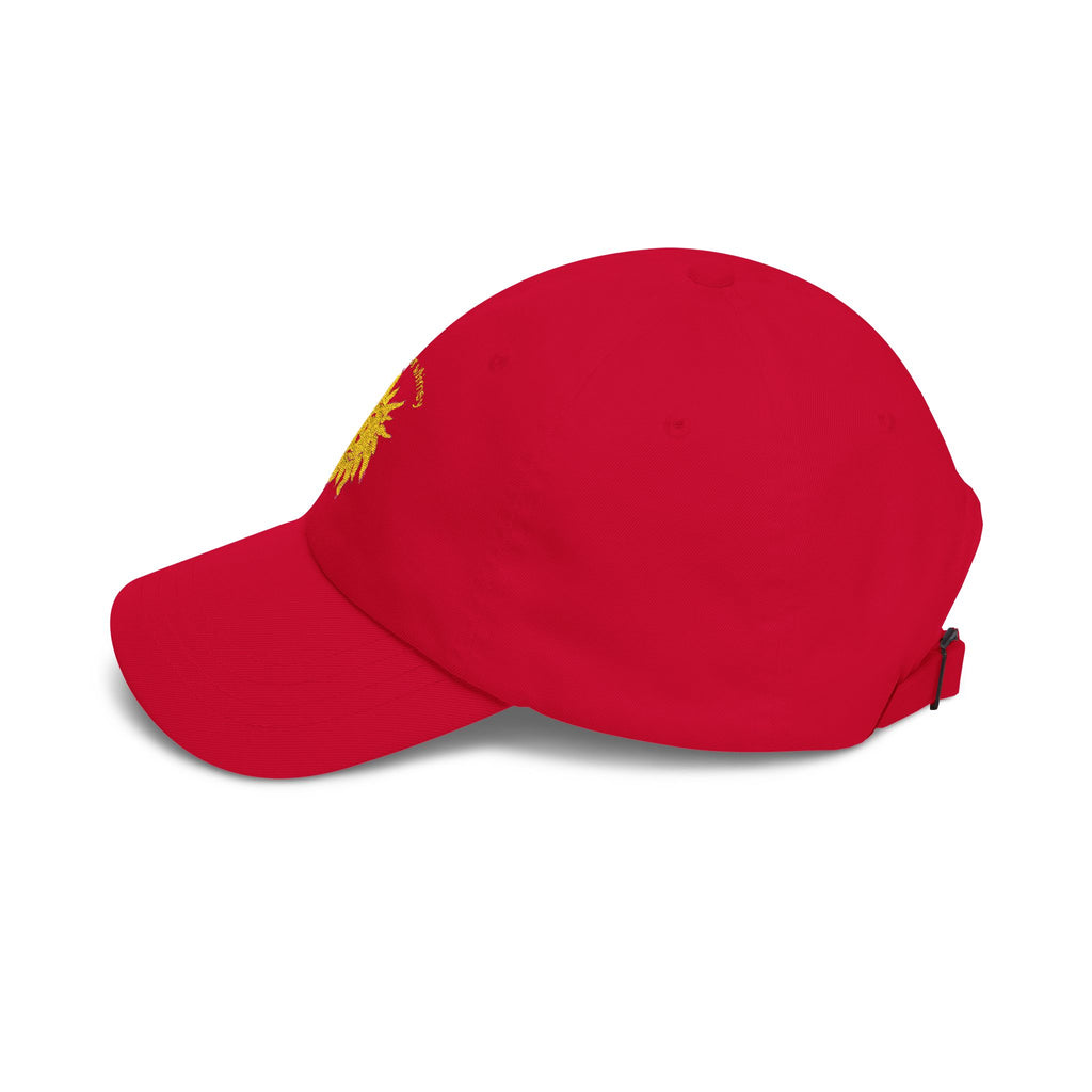 Protect Your Whimsy Embroidered Cap