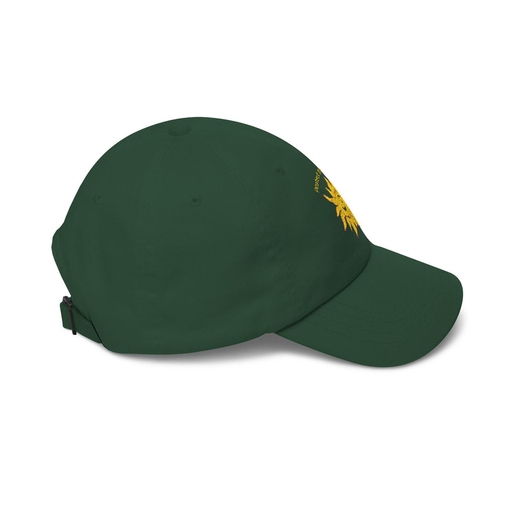 Protect Your Whimsy Embroidered Cap