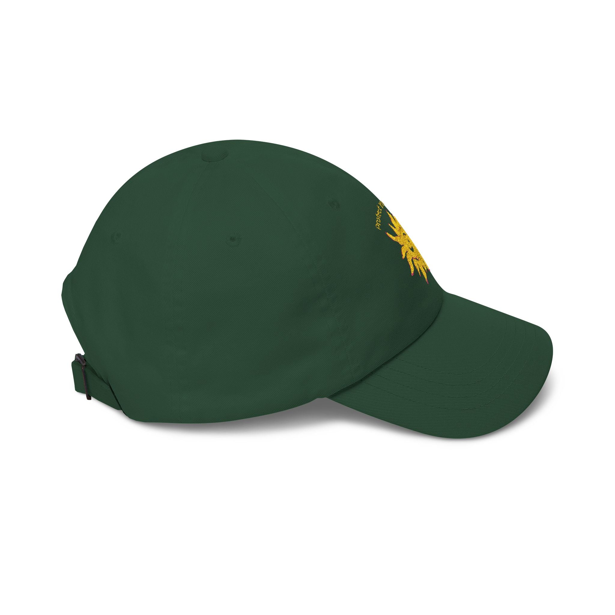 Protect Your Whimsy Embroidered Cap