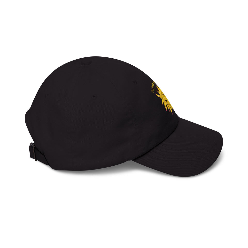 Protect Your Whimsy Embroidered Cap