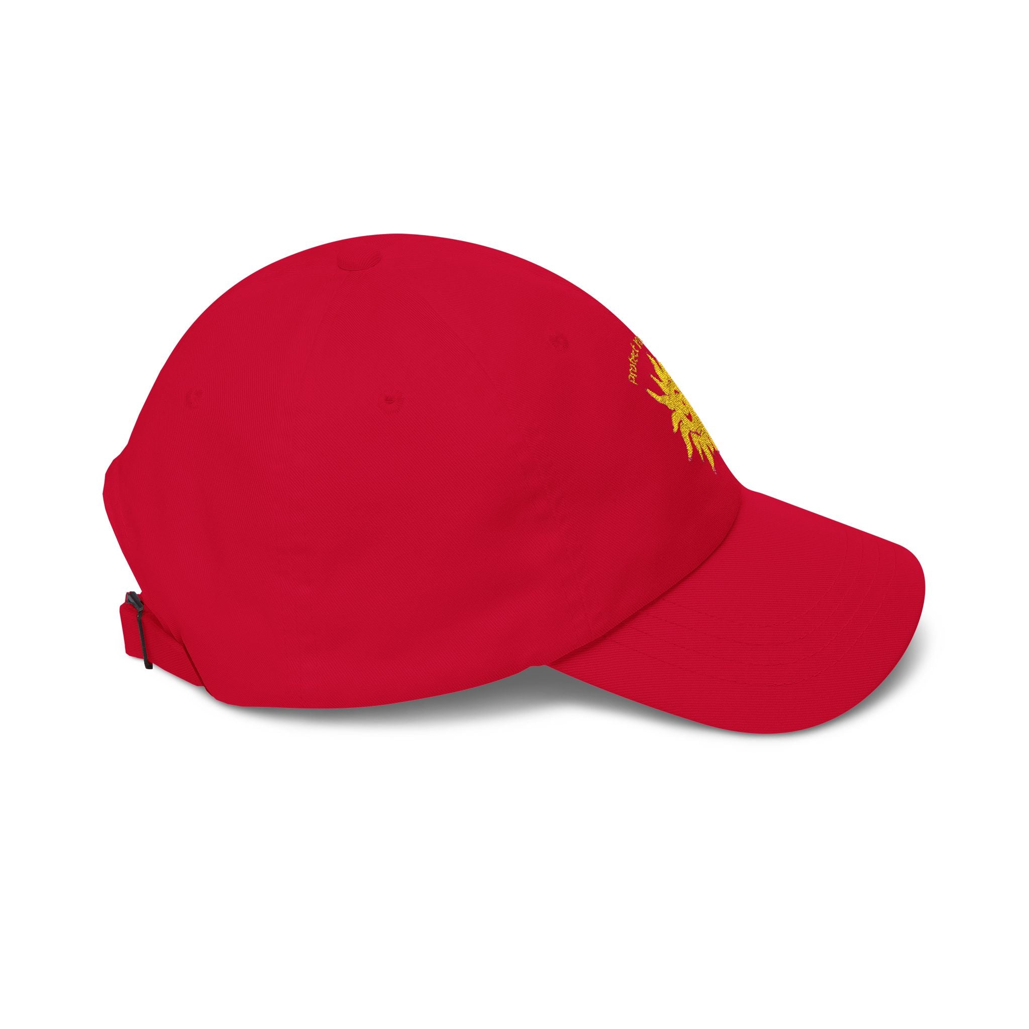 Protect Your Whimsy Embroidered Cap