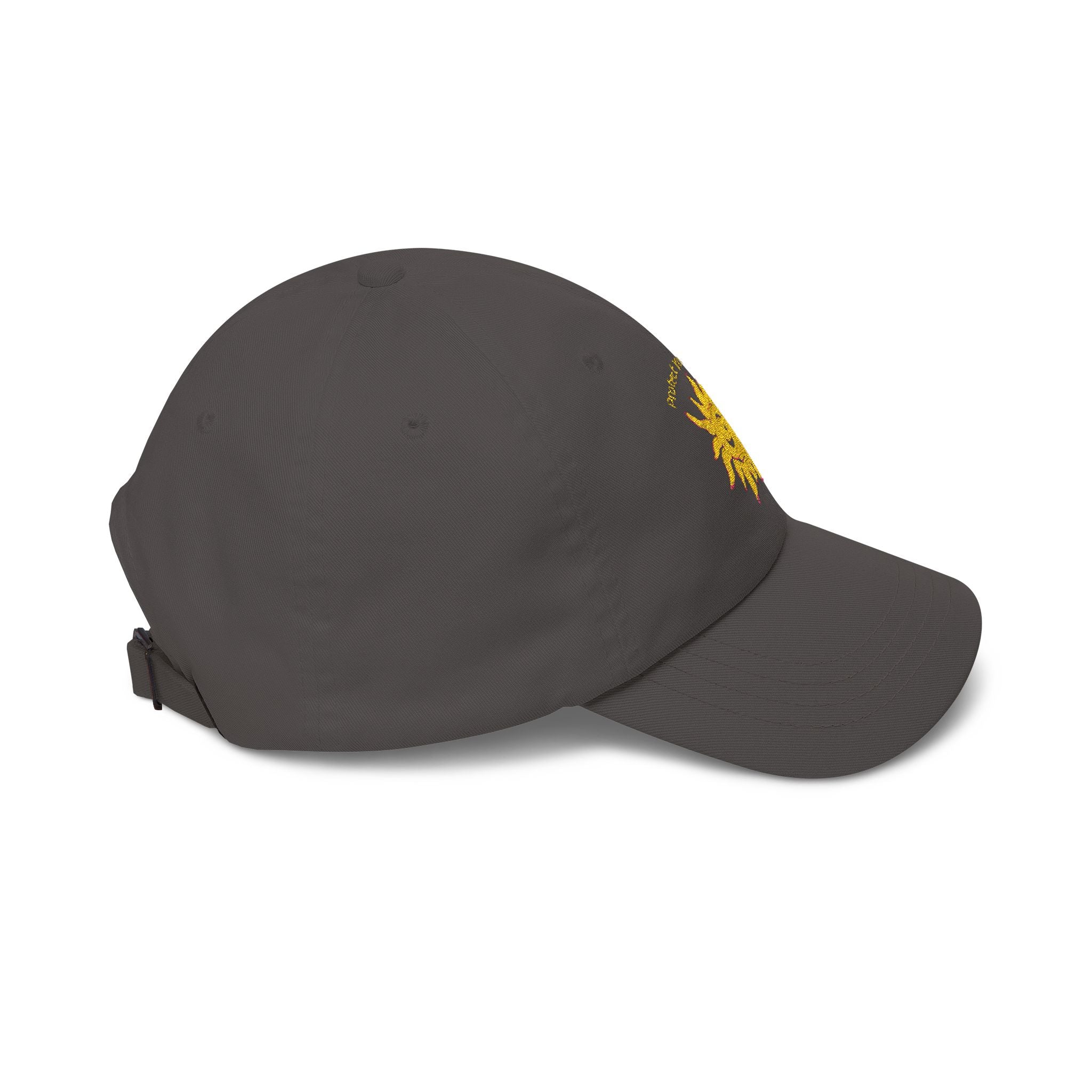 Protect Your Whimsy Embroidered Cap