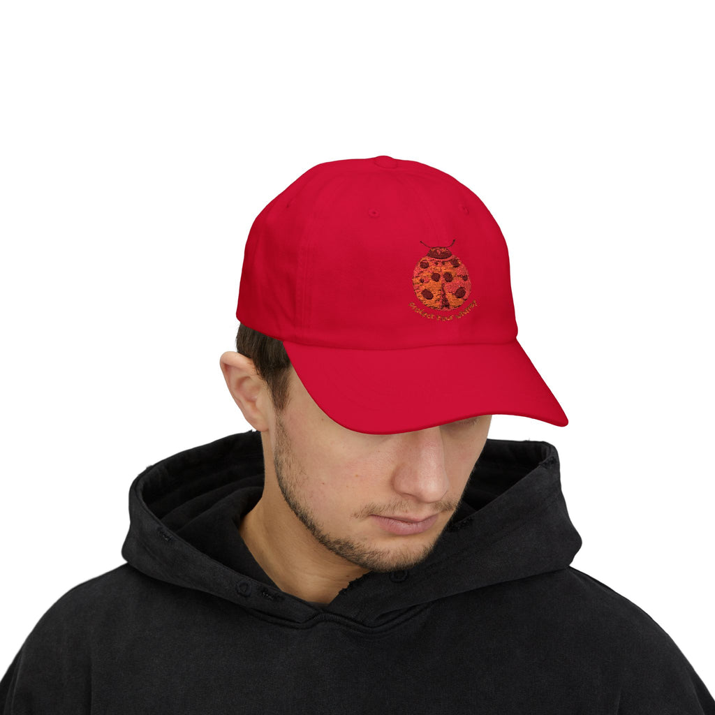 Protect Your Whimsy Embroidered Ladybug Cap