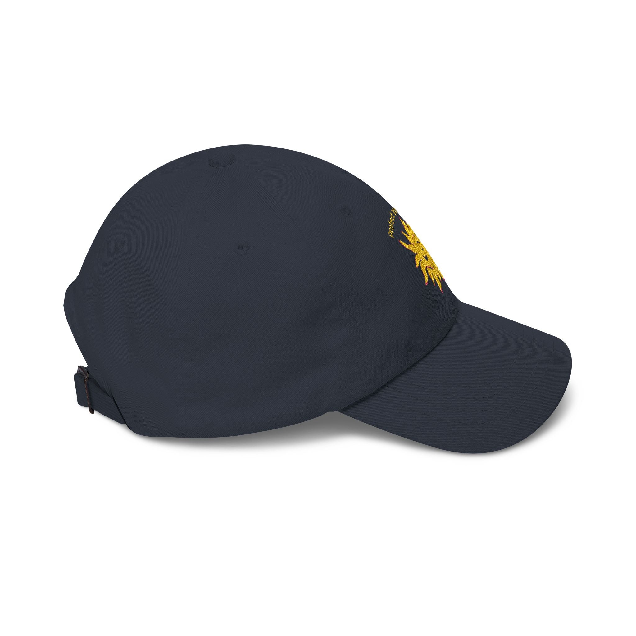 Protect Your Whimsy Embroidered Cap