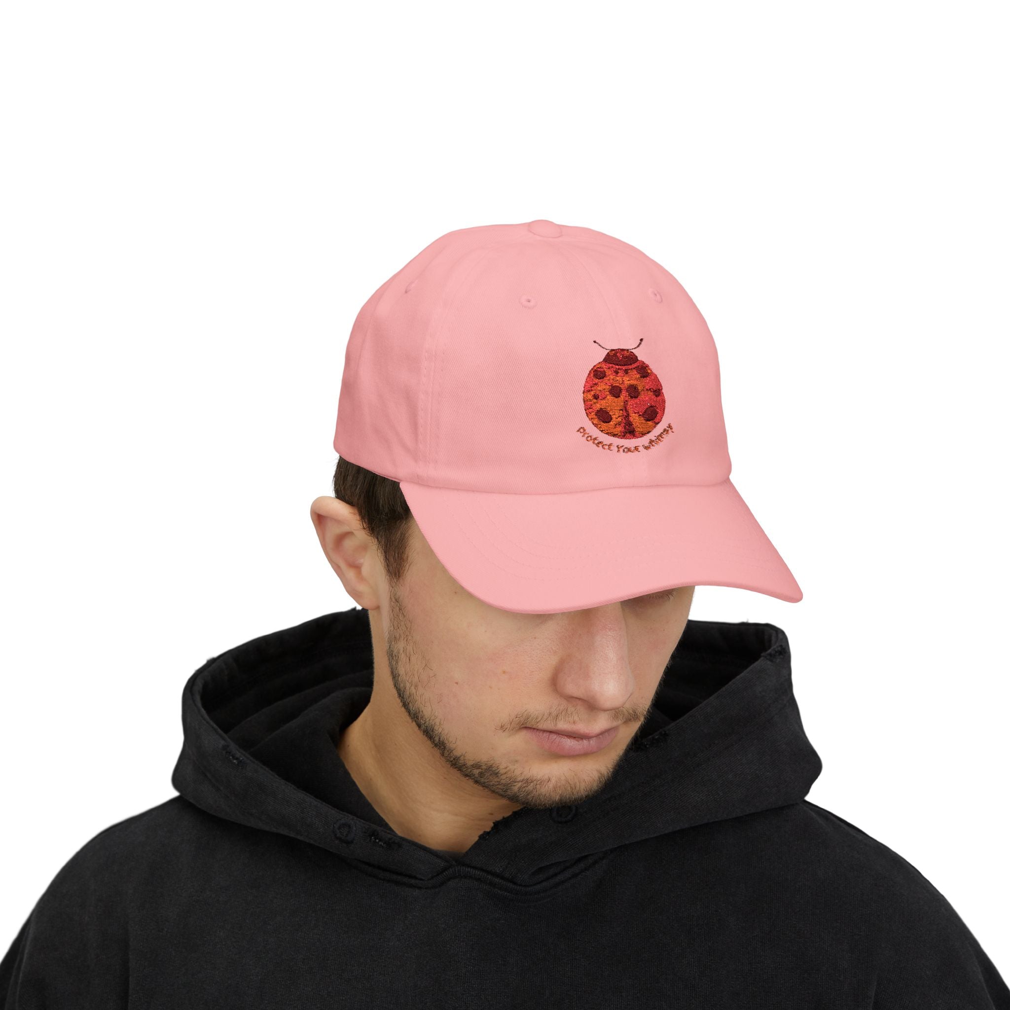 Protect Your Whimsy Embroidered Ladybug Cap